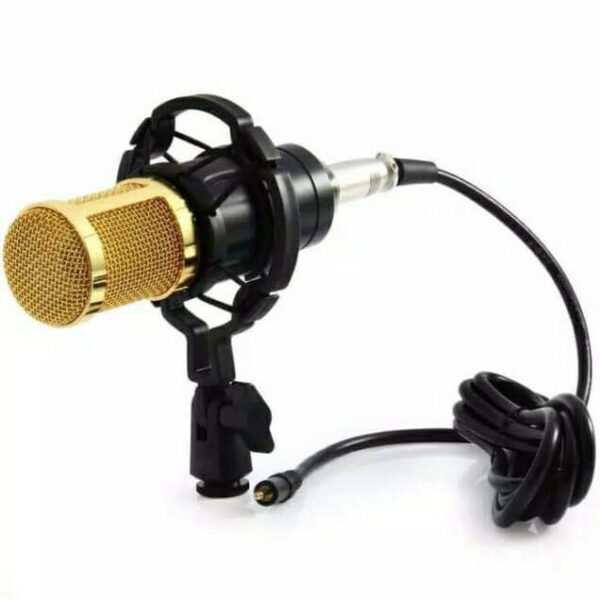 Jual Alat Music MIC bATAM