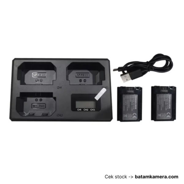 Avangarde Charger Kit FZ100 Battery and DL-FZ100 Charger 3 Slot + 2Battery