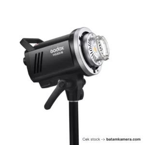 GODOX MS300V